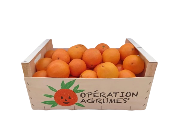 Opération Agrumes